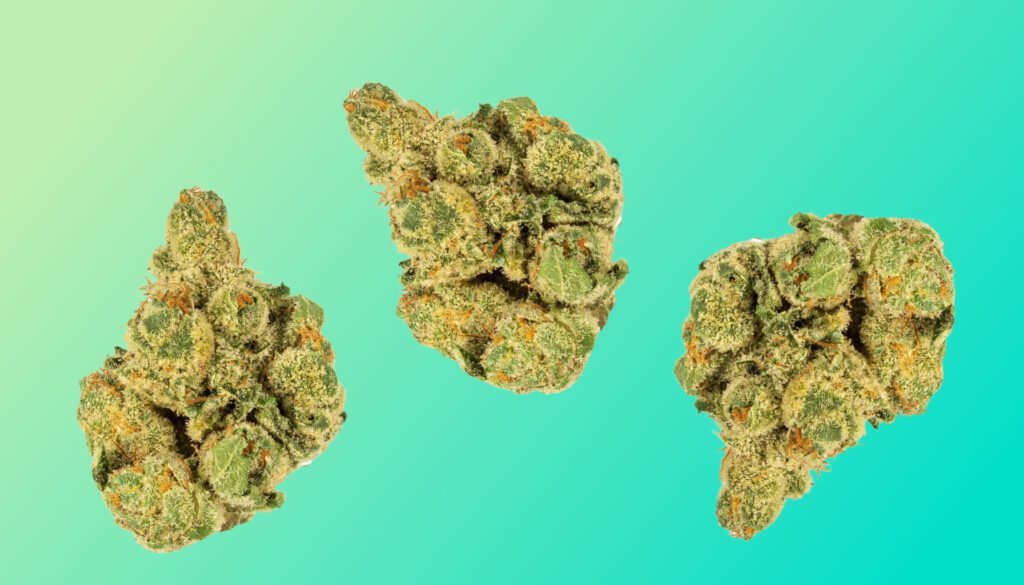 Cereal Milk Strain Complete Guide on Effects & Reviews Grail Cannabis