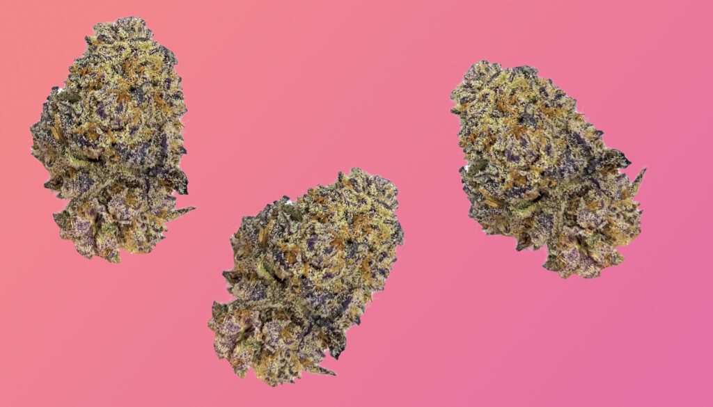 Oreoz strain buds on a pink background with visible characteristics